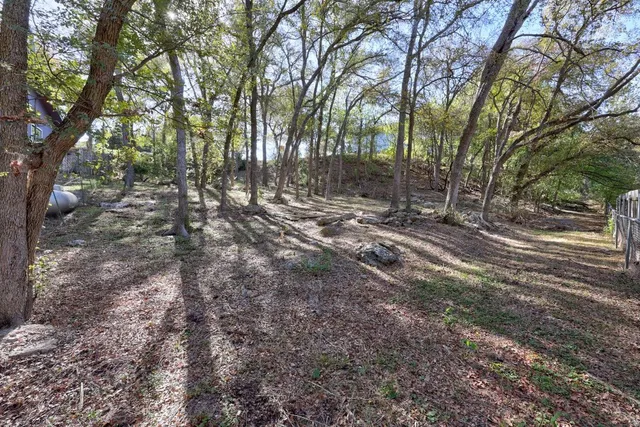 a view of a forest with trees