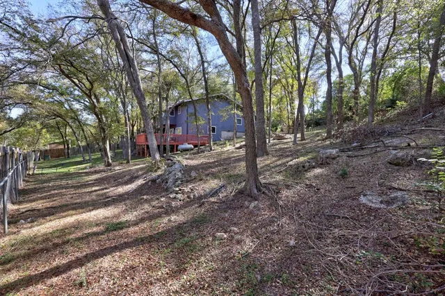 a dirt road with large trees