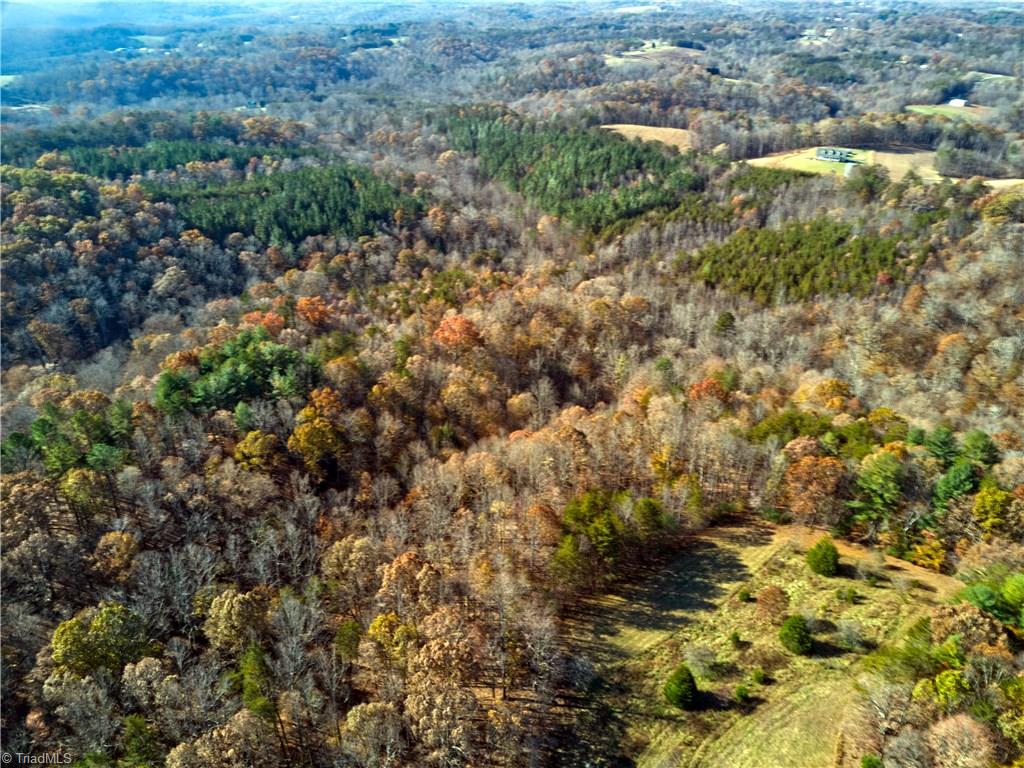 3569 Horseshoe Road Westfield, NC 27053 - Photo 17 of 30 Gallery Image 17
