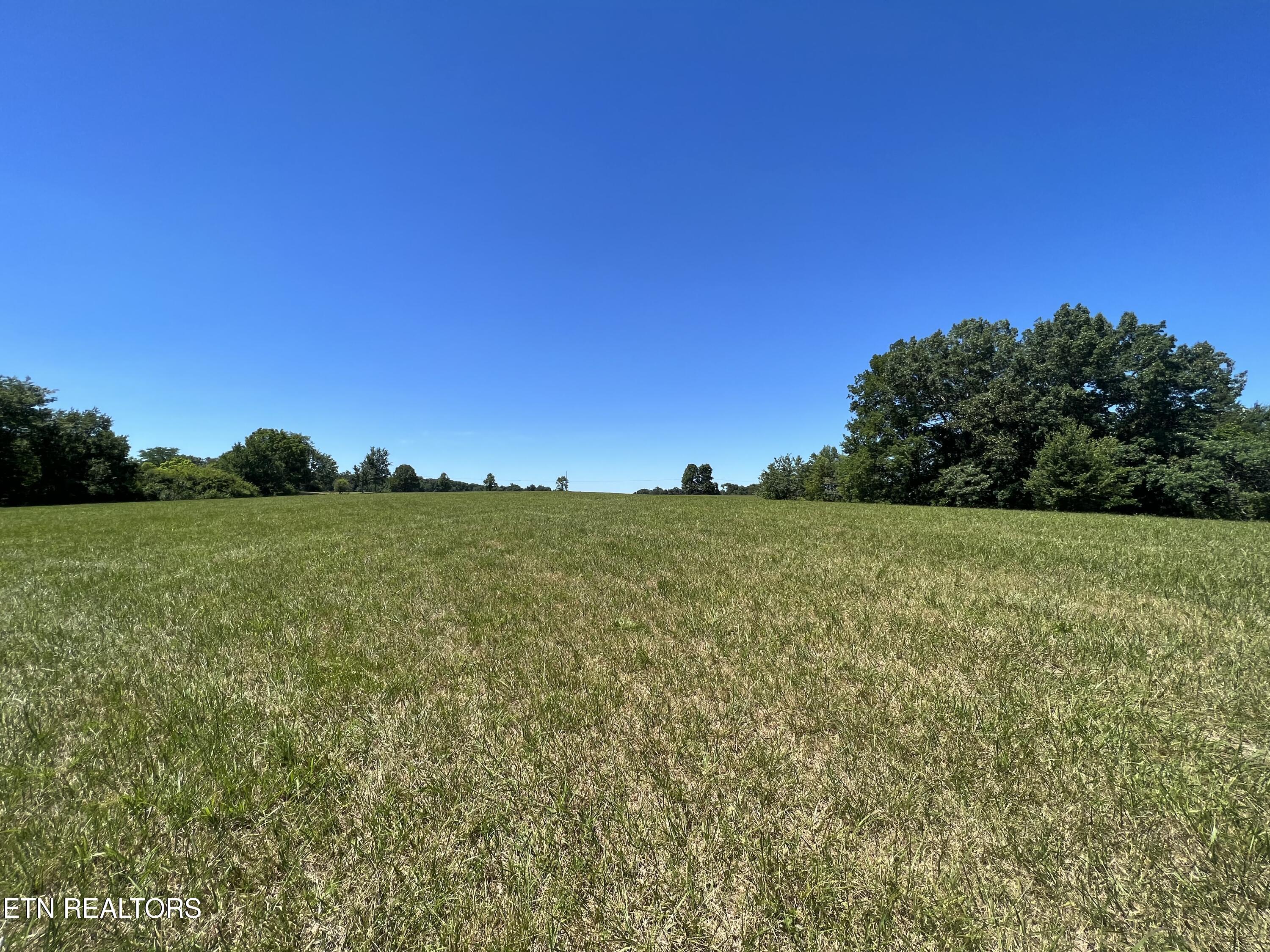 1759 Meister Hills Road Deer Lodge, TN 37726 - Photo 11 of 25 IMG_1311_Original