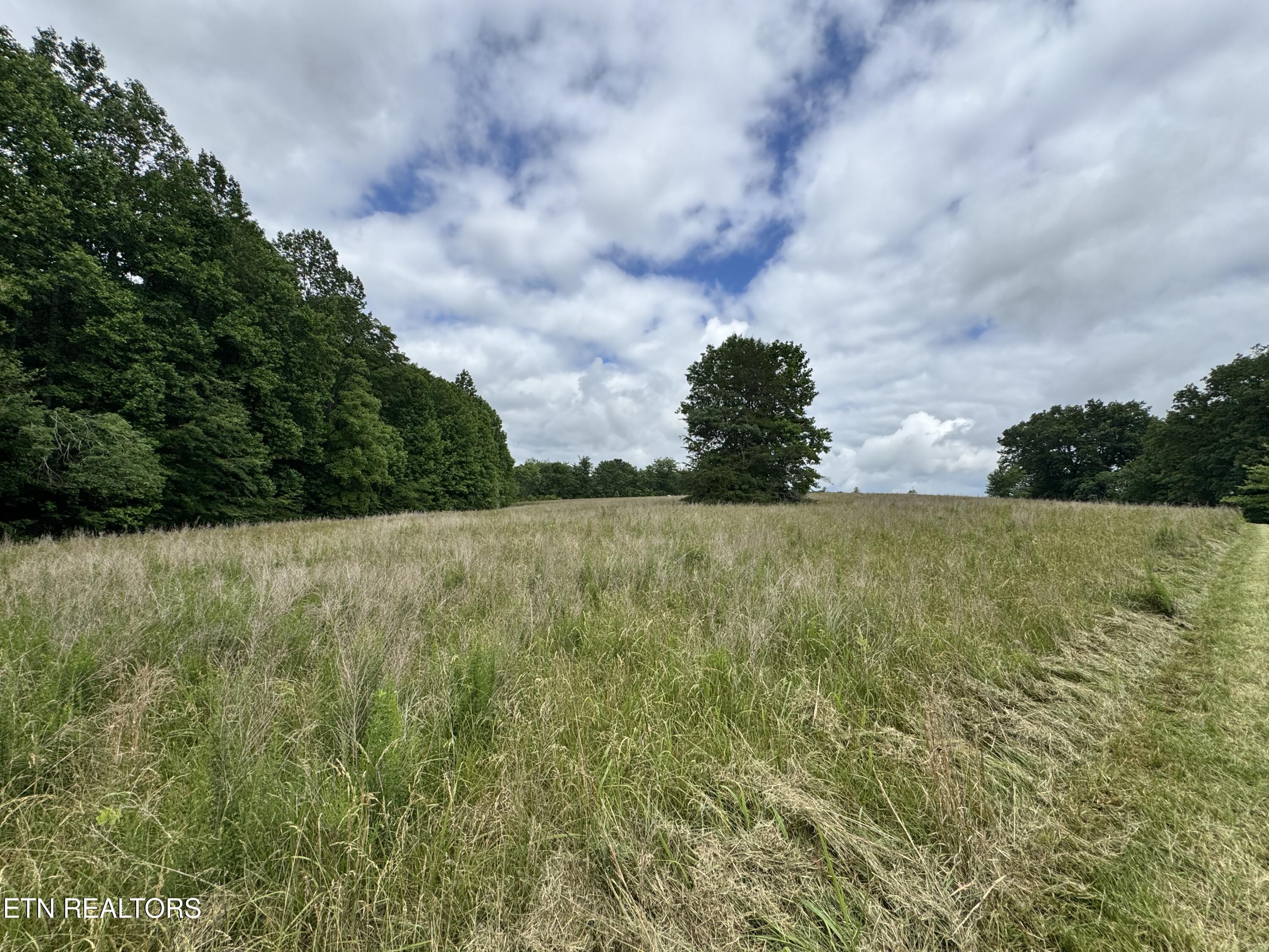 1759 Meister Hills Road Deer Lodge, TN 37726 - Photo 17 of 25 IMG_3672