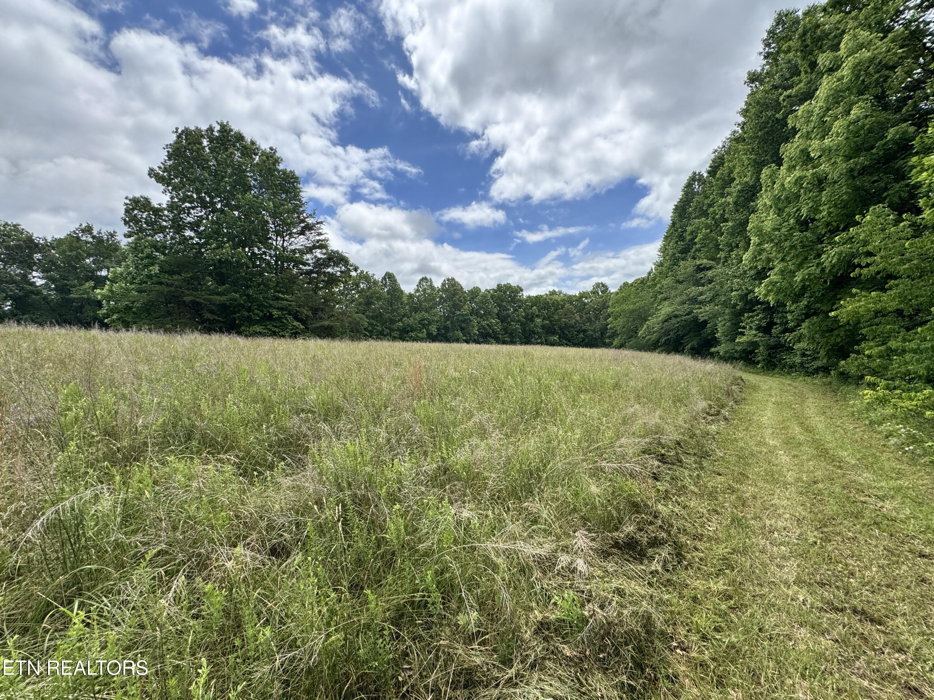 1759 Meister Hills Road Deer Lodge, TN 37726 - Photo 21 of 25 IMG_3668