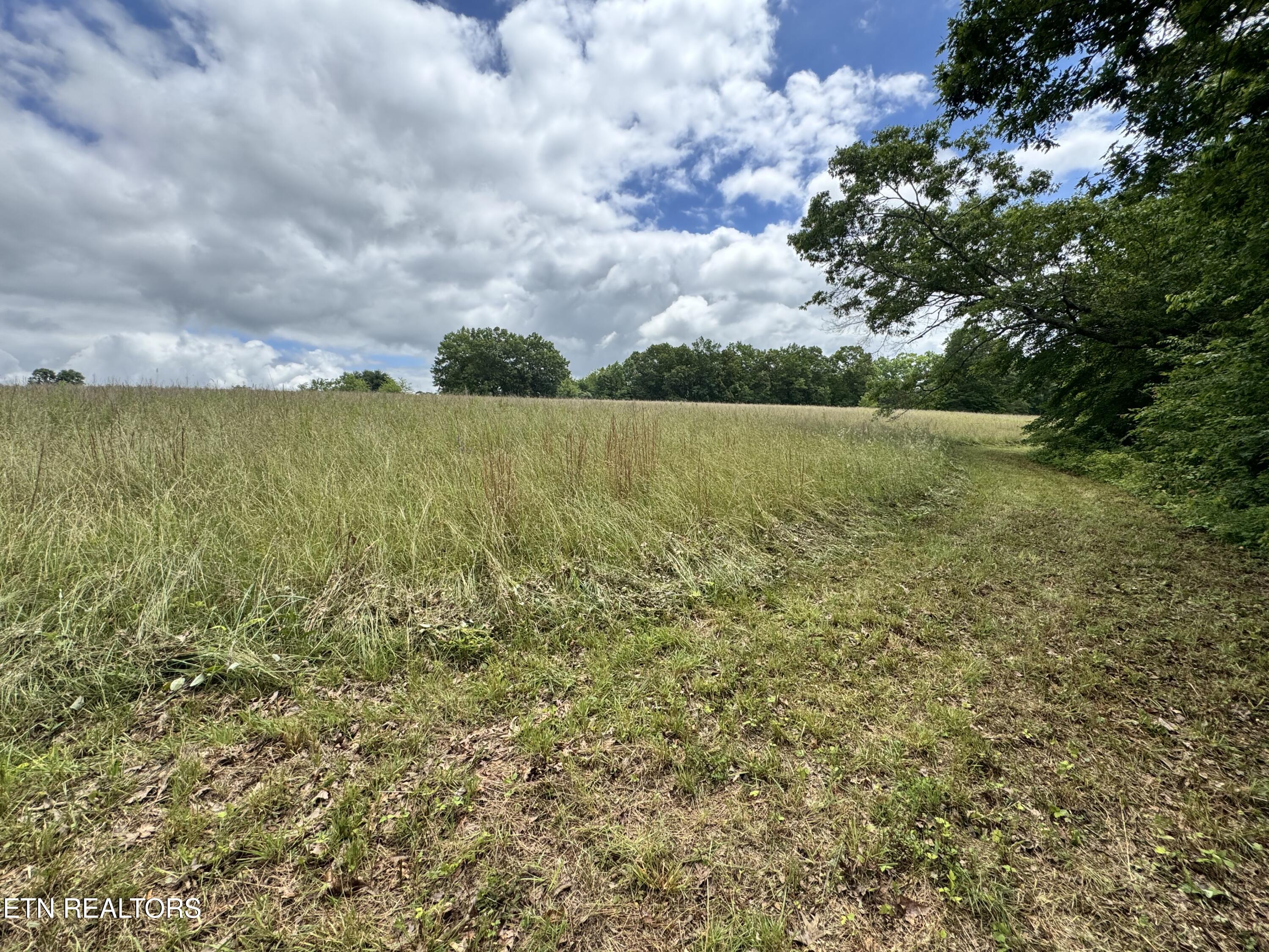 1759 Meister Hills Road Deer Lodge, TN 37726 - Photo 22 of 25 IMG_3667