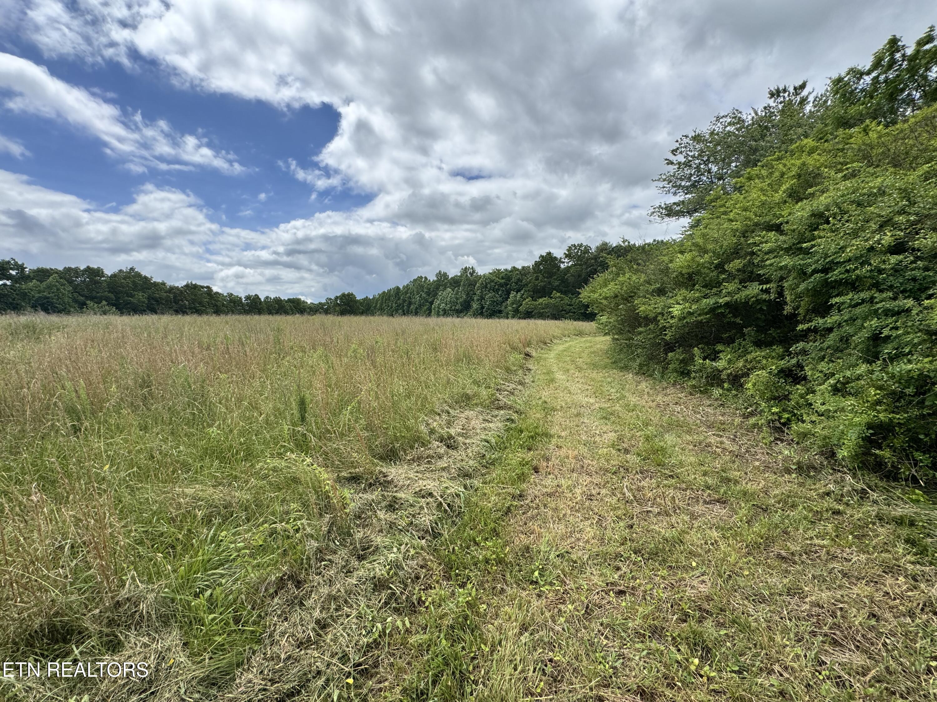 1759 Meister Hills Road Deer Lodge, TN 37726 - Photo 23 of 25 IMG_3666