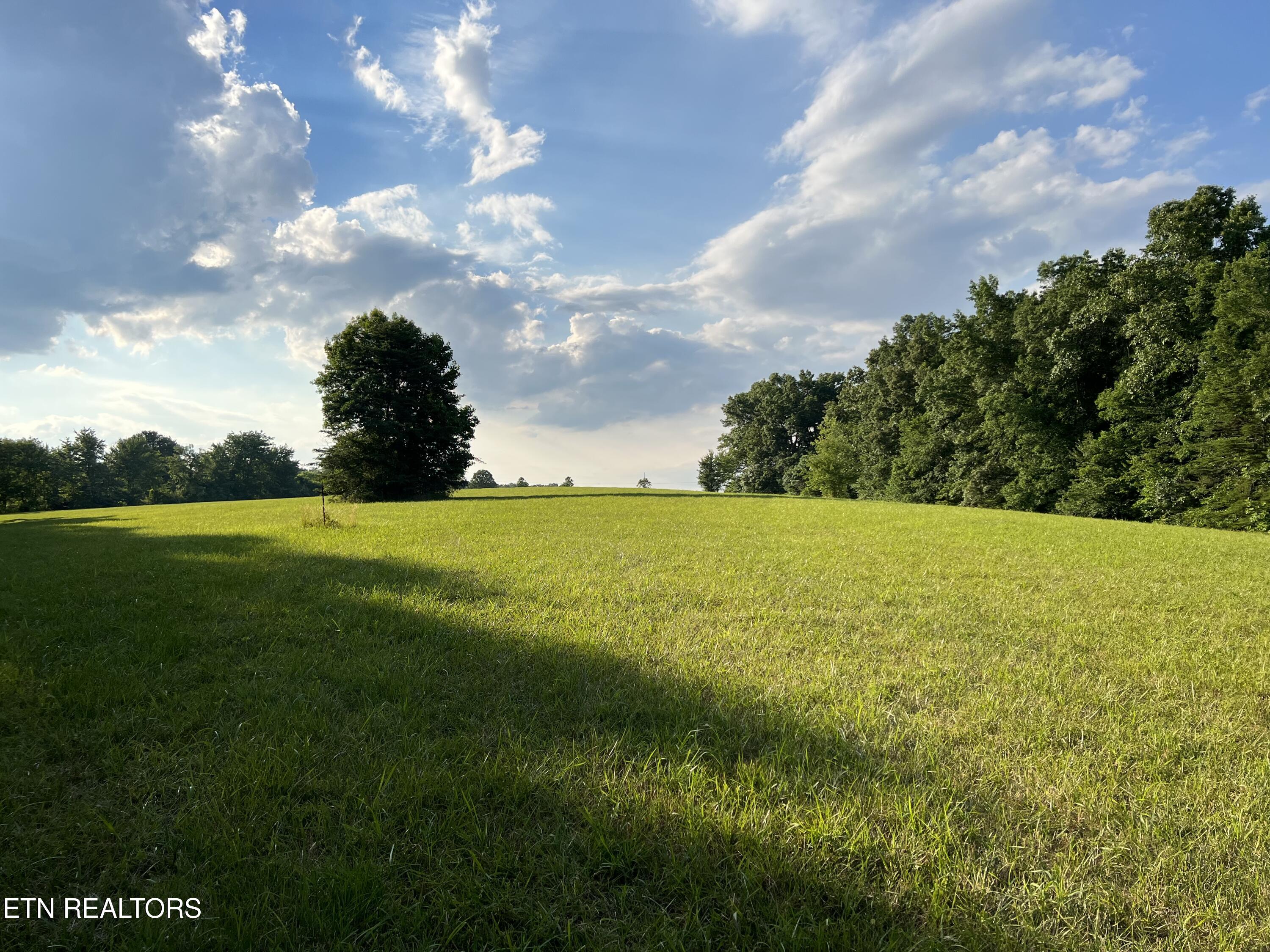 1759 Meister Hills Road Deer Lodge, TN 37726 - Photo 6 of 25 IMG_1330_Original
