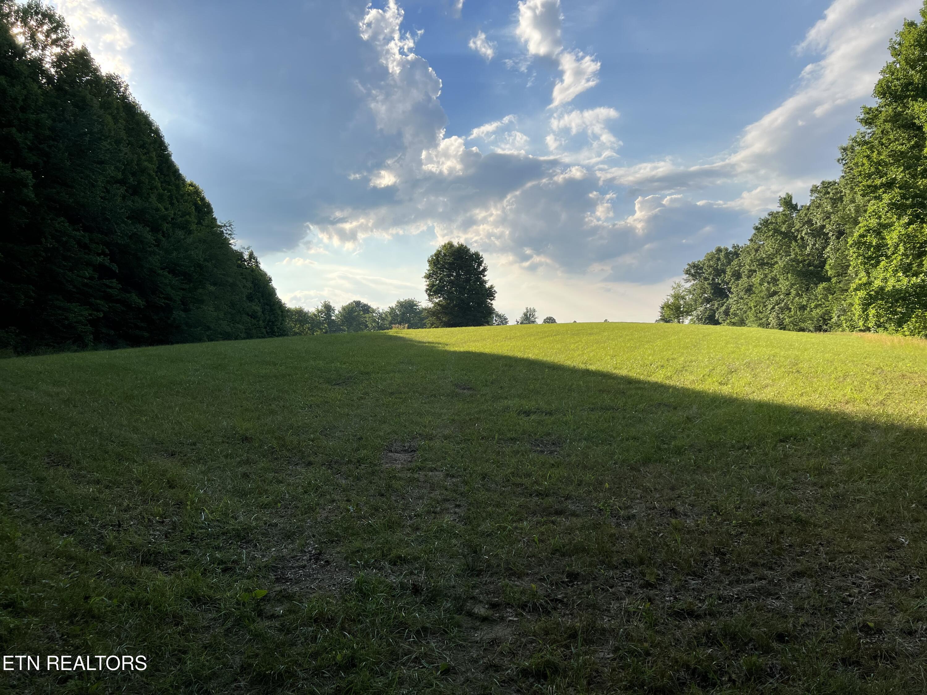 1759 Meister Hills Road Deer Lodge, TN 37726 - Photo 7 of 25 IMG_1329_Original