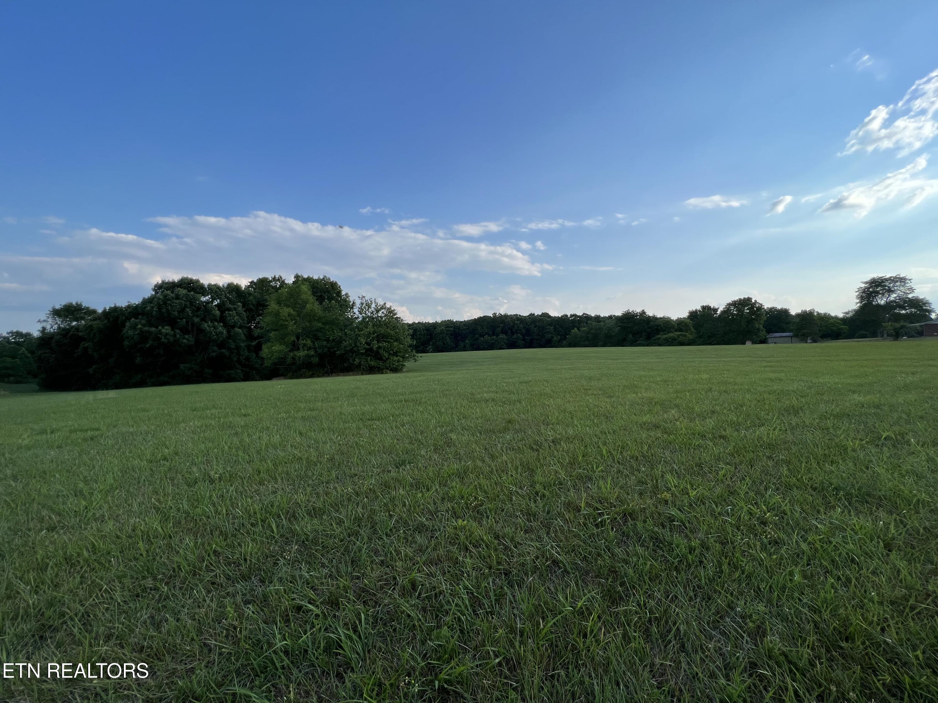 1759 Meister Hills Road Deer Lodge, TN 37726 - Photo 8 of 25 IMG_1325_Original