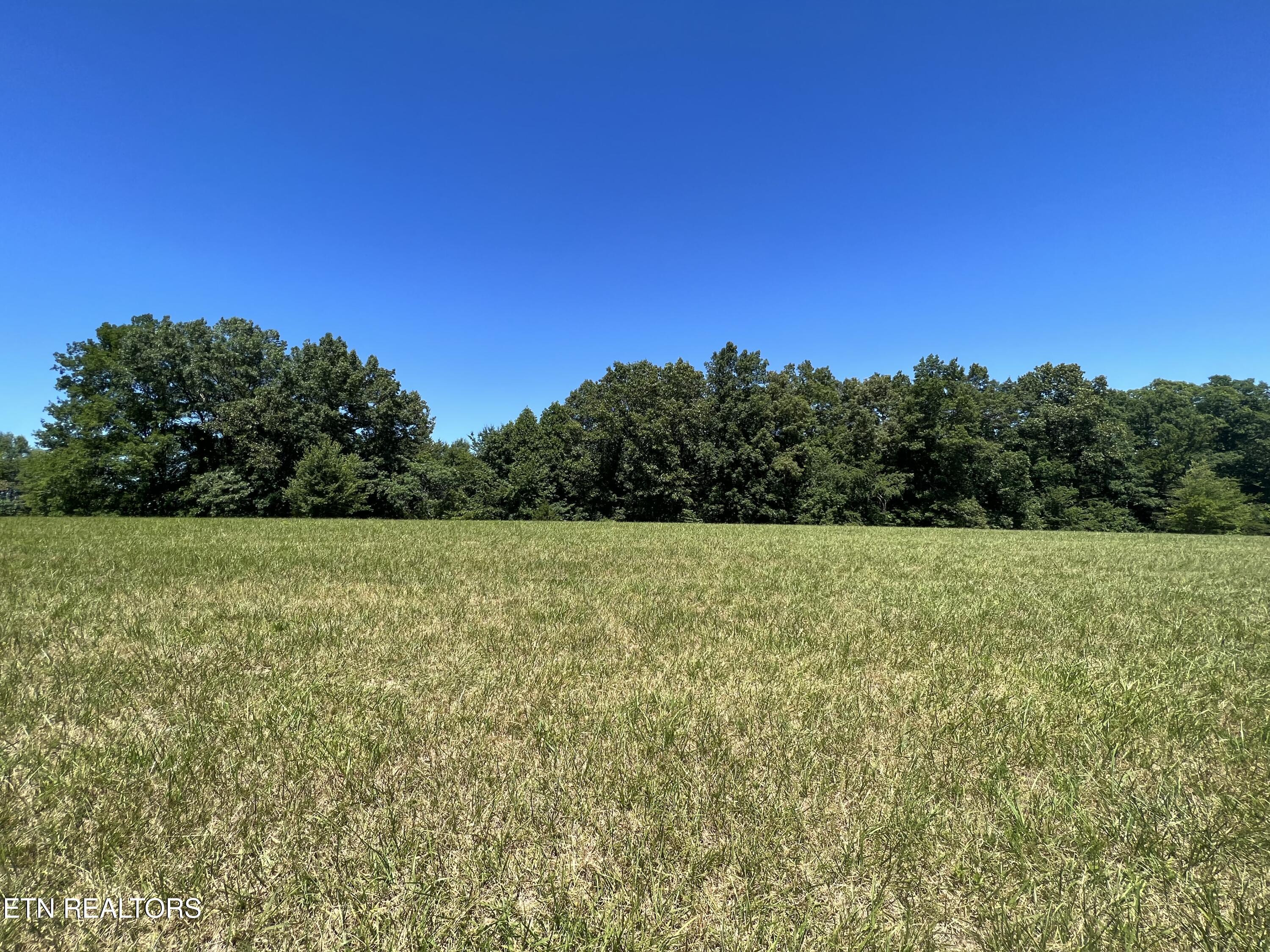 1759 Meister Hills Road Deer Lodge, TN 37726 - Photo 10 of 25 IMG_1312_Original