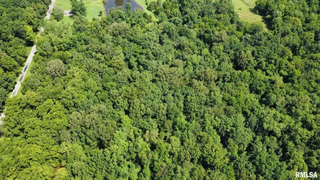 $65,000 | 0 Cedar Hill Road, West Frankfort, IL 62896