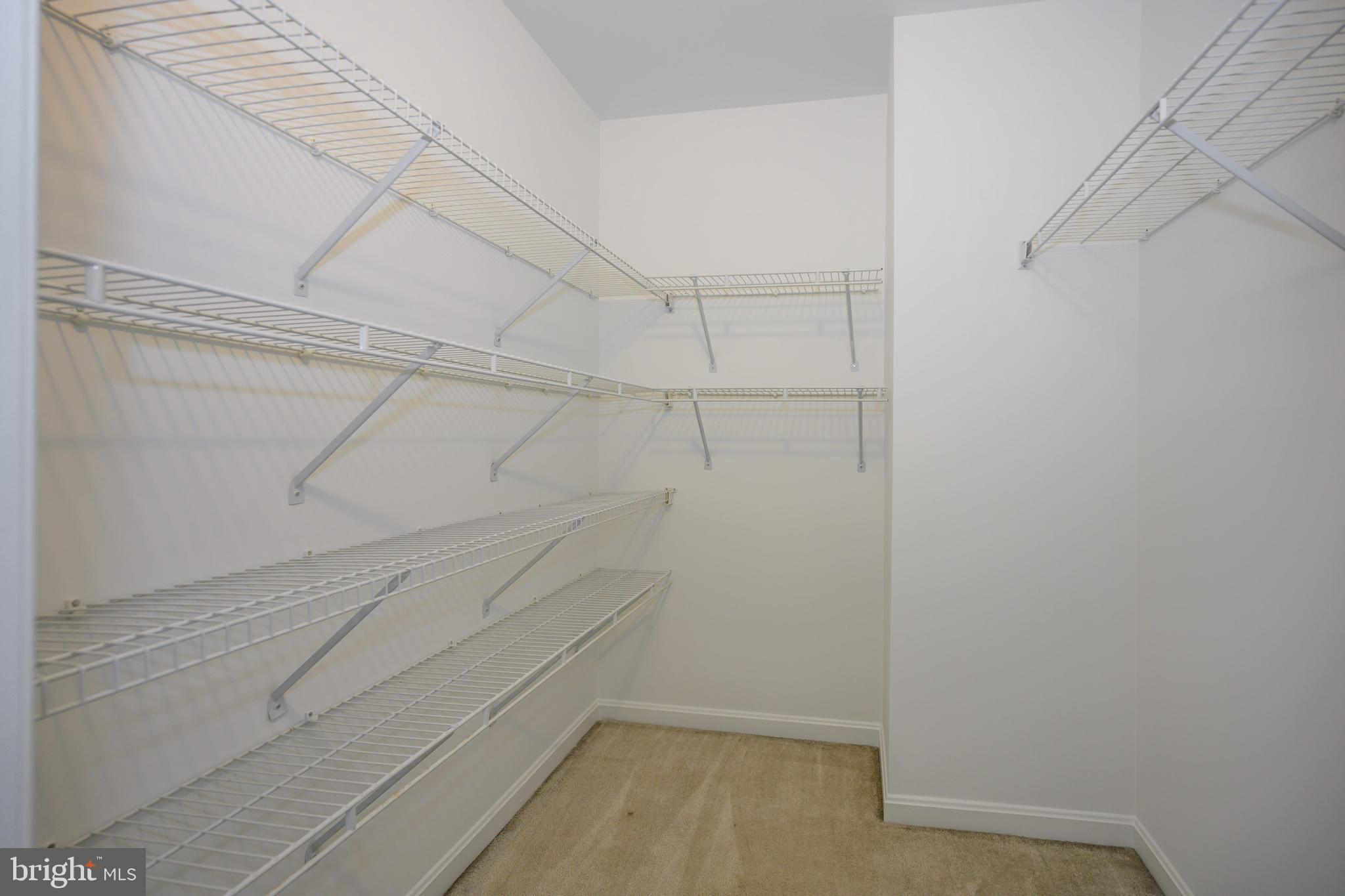 7013 Bridgepointe Drive Chester, MD 21619 - Photo 29 of 48 Primary walk-in closet