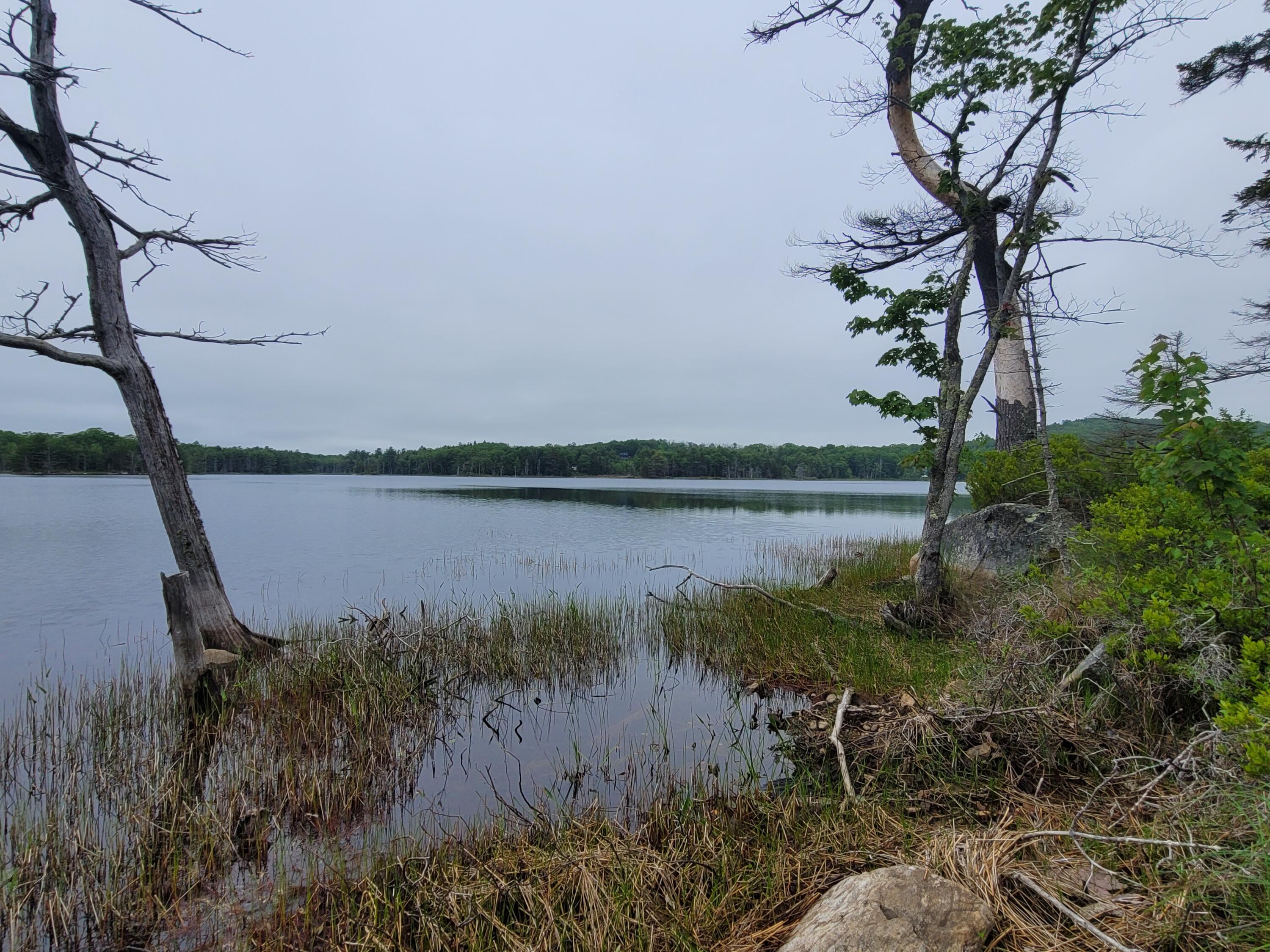 Tbd Grindleville Road Blue Hill, ME 04614 - Photo 24 of 52 Second Pond