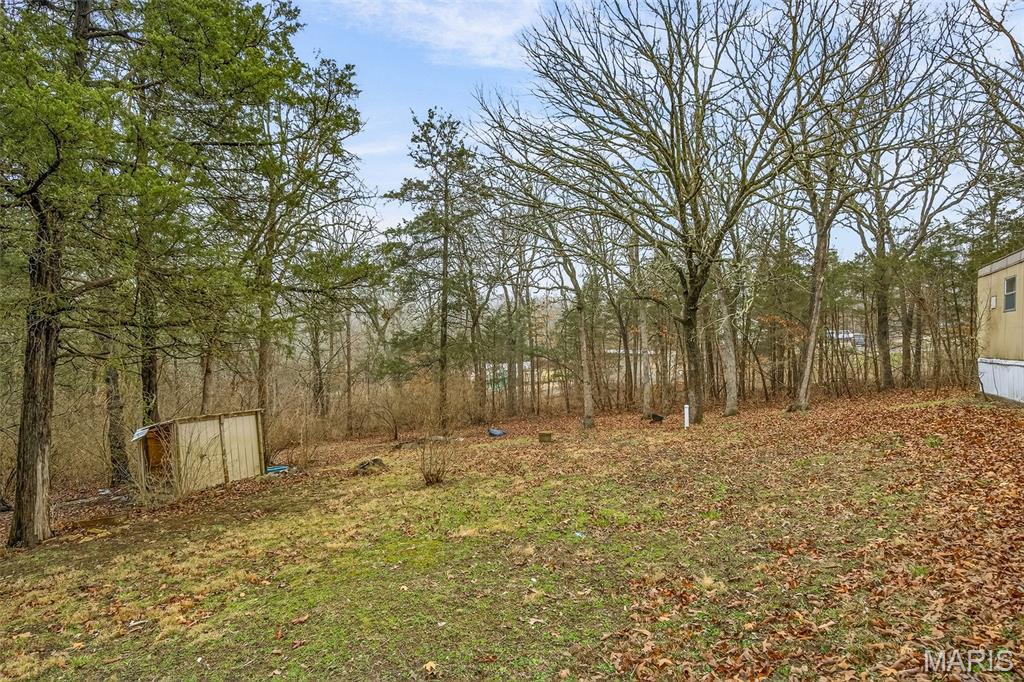 3076 Carron Road Festus, MO 63028 - Photo 9 of 24