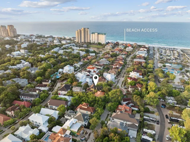 a view of a potted flower in a yard in front of a house with a fountain