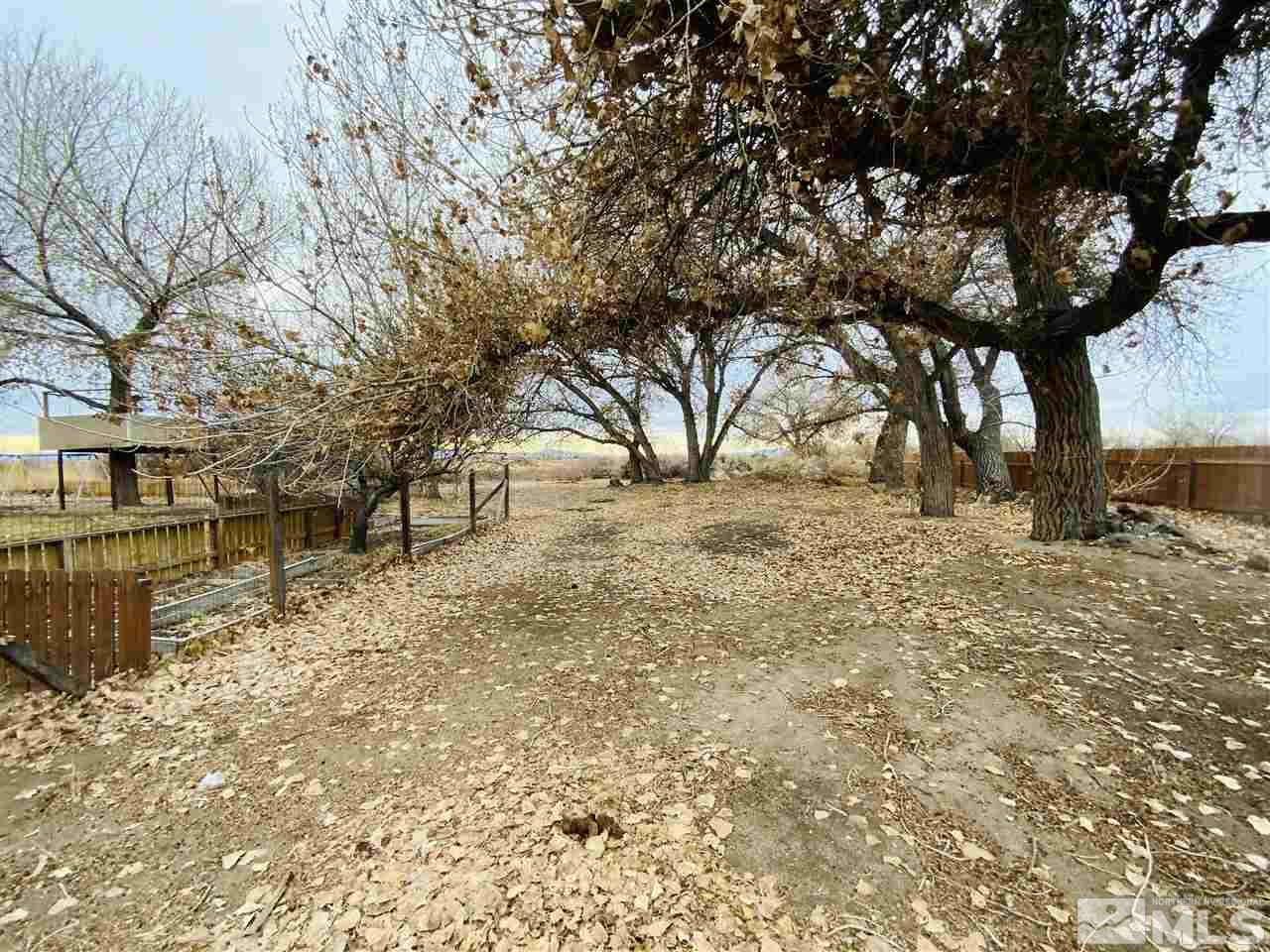 1500 Lattin Road Fallon, NV 89406 - Photo 14 of 17 a view of yard covered with snow