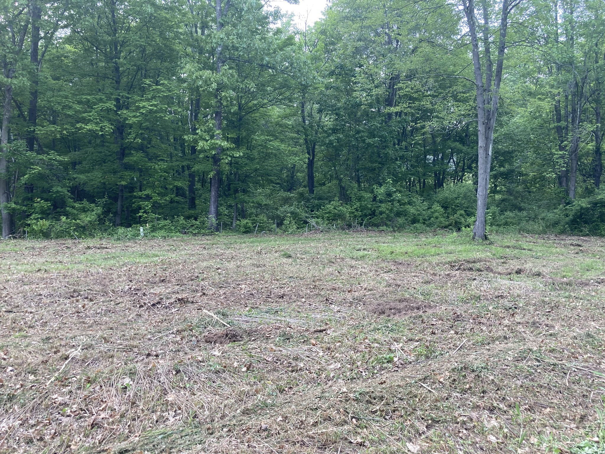 0 West Road Westfield, MA 01085 - Photo 19 of 23 Gallery Image 19