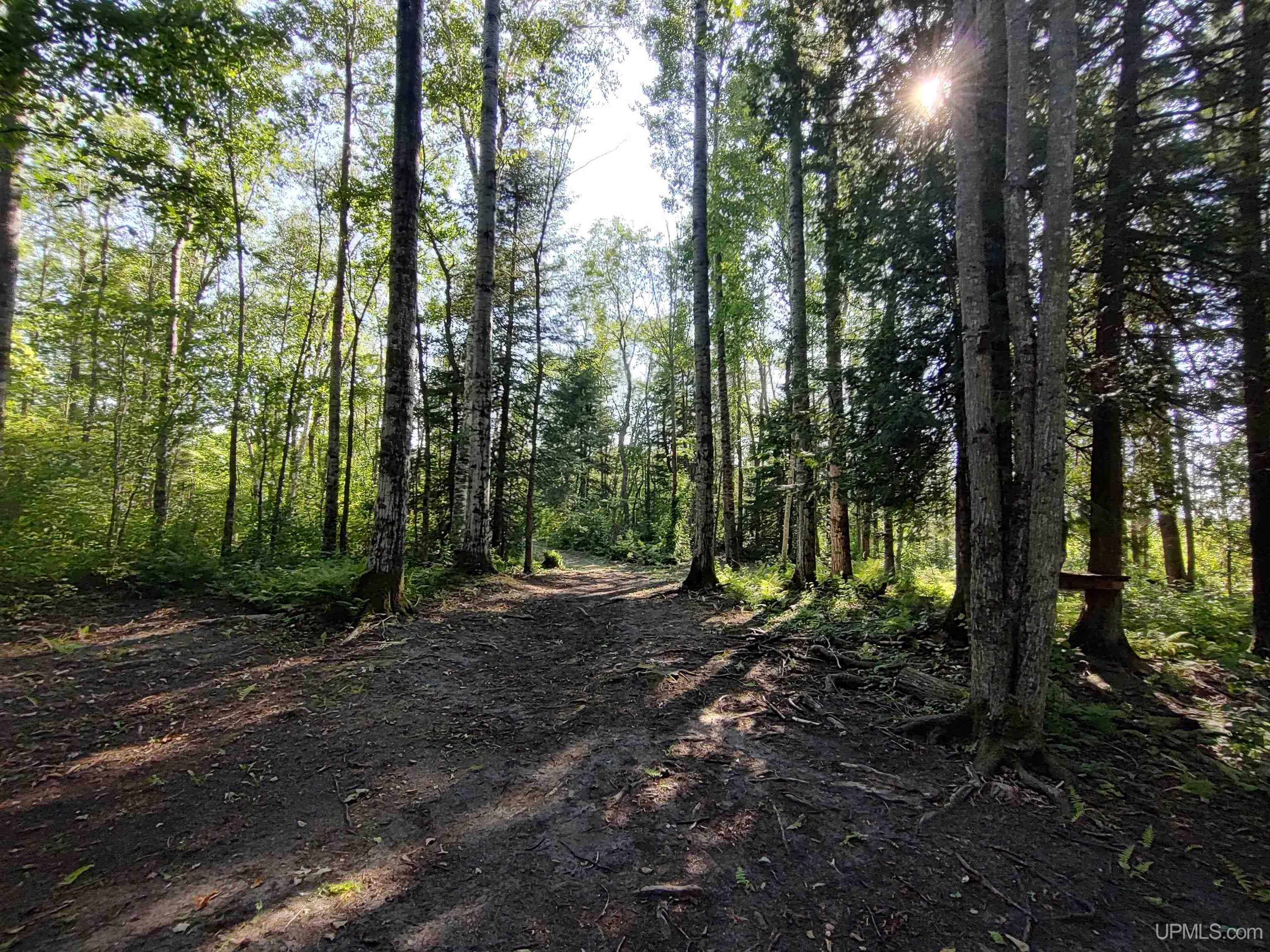 387 Rd Mcmillan Mi 49853 Road Newberry, MI 49868 - Photo 54 of 78