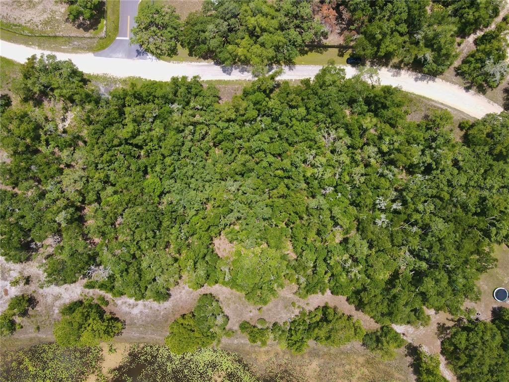 34237 Shaffer Drive Webster, FL 33597 - Photo 11 of 18