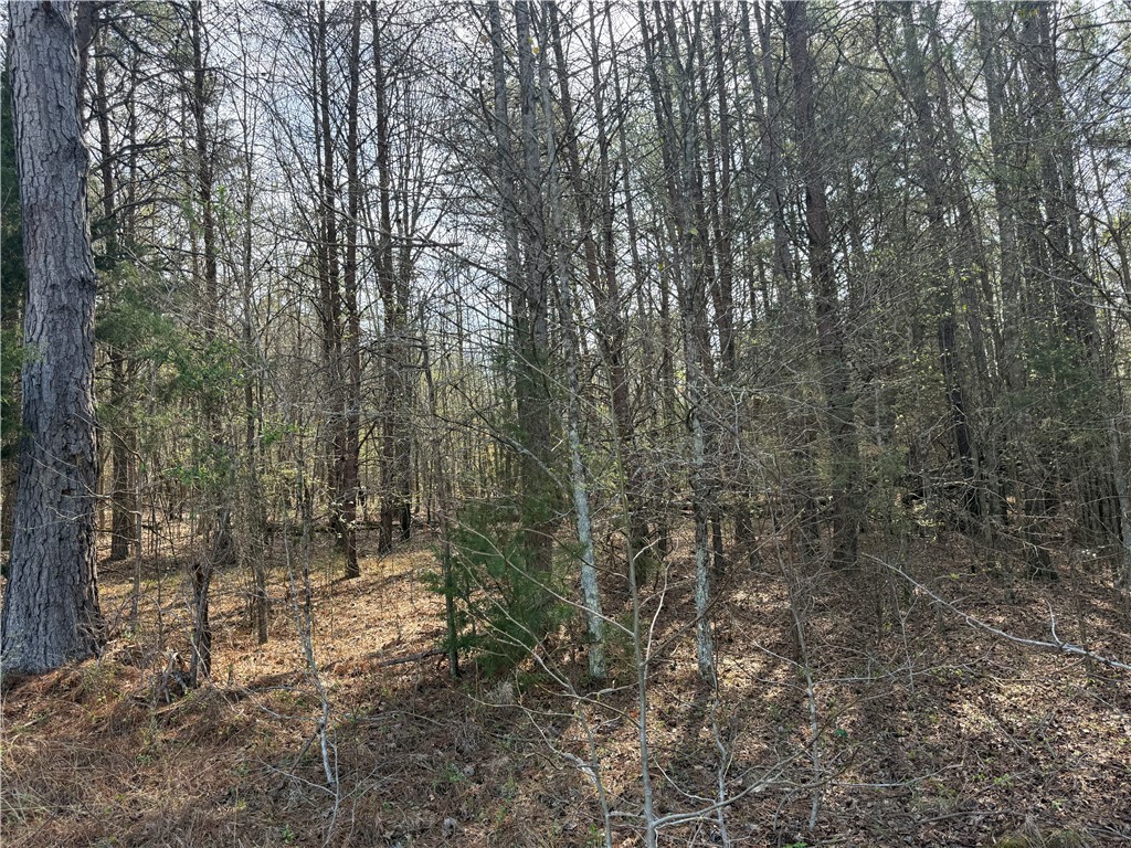0 Holland Ford Road Pelzer, SC 29669 - Photo 26 of 35