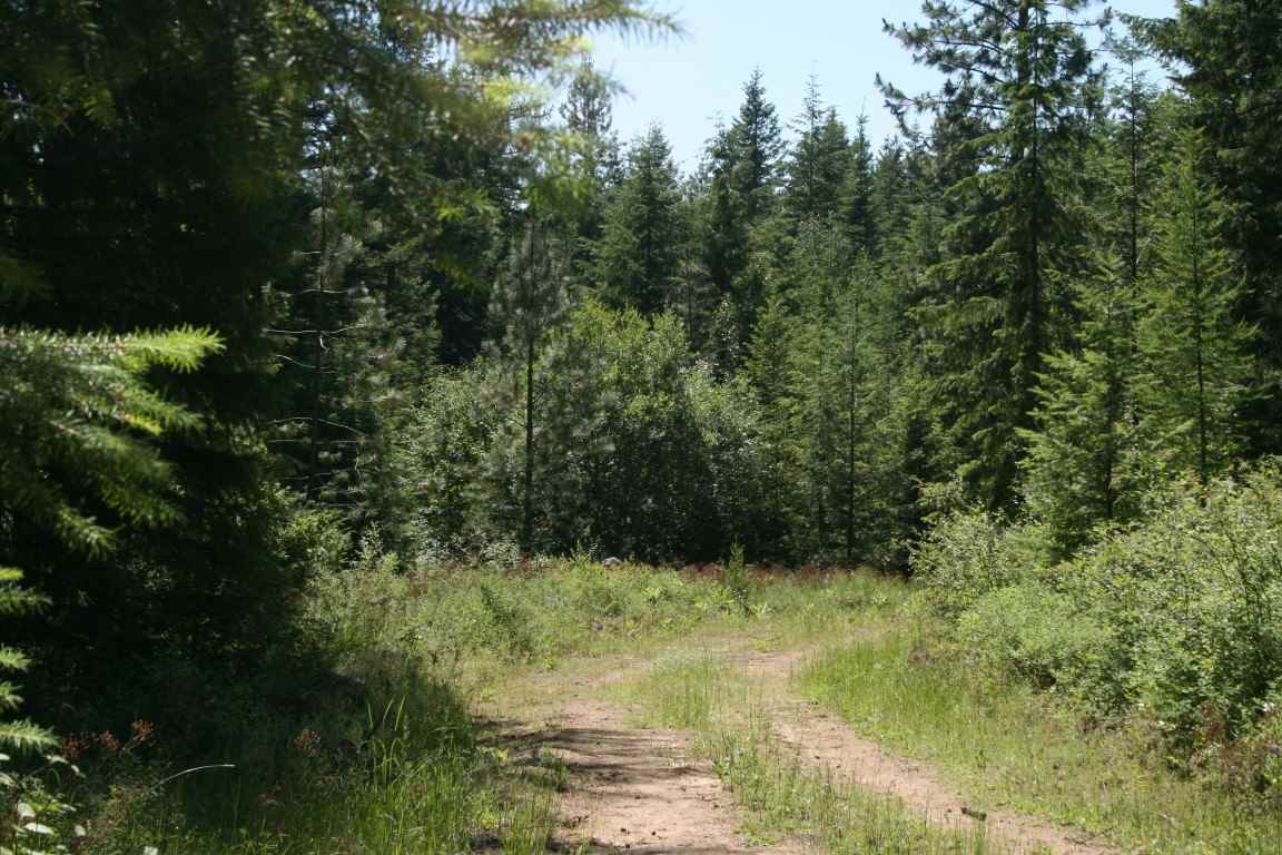 4775 H Whittier Road Clayton, WA 99110 - Photo 12 of 13