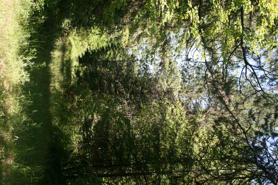 4775 H Whittier Road Clayton, WA 99110 - Photo 13 of 13