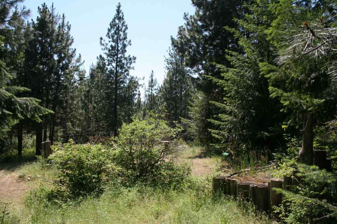 4775 H Whittier Road Clayton, WA 99110 - Photo 8 of 13