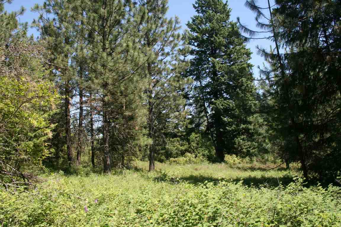 4775 H Whittier Road Clayton, WA 99110 - Photo 10 of 13