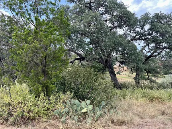 a view of dirt field with trees in the background