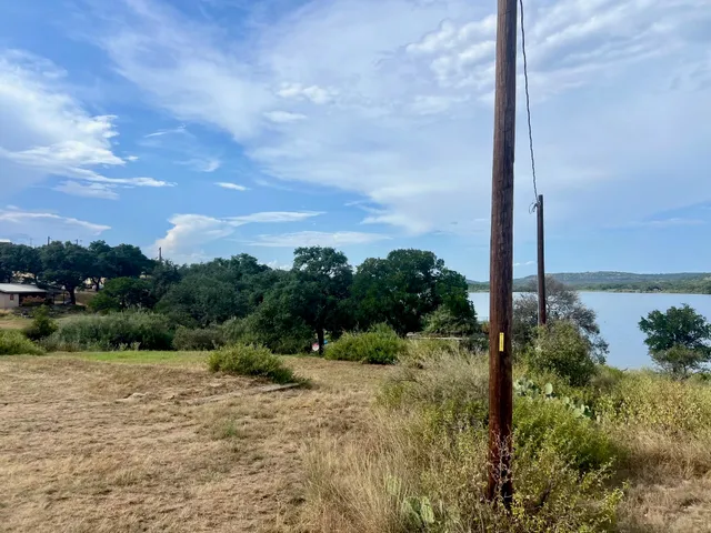 a view of a lush green forest with large trees