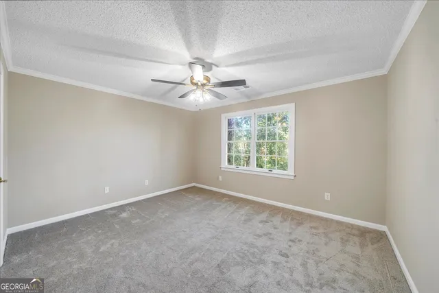 a view of a yard with large trees