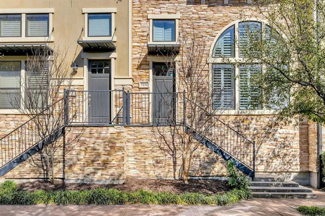 a street view with large trees