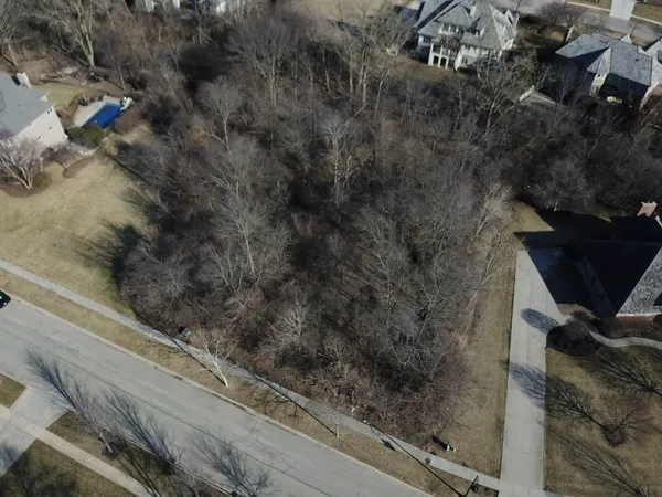 a view of a yard