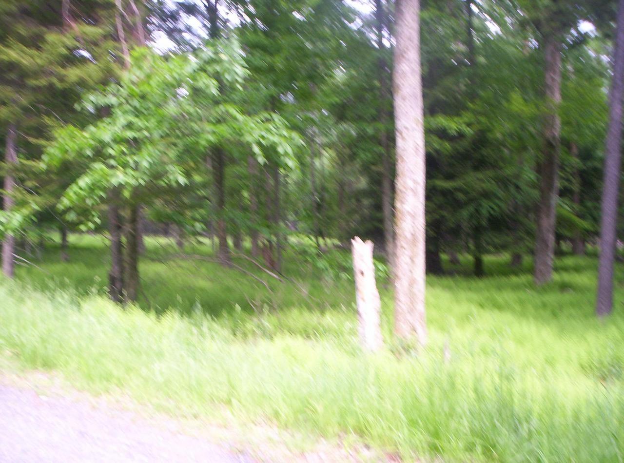1209 Sawmill Road Tobyhanna, PA 18347 - Photo 3 of 10 Lot