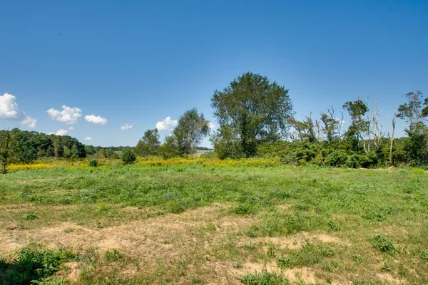 a view of a yard with a house