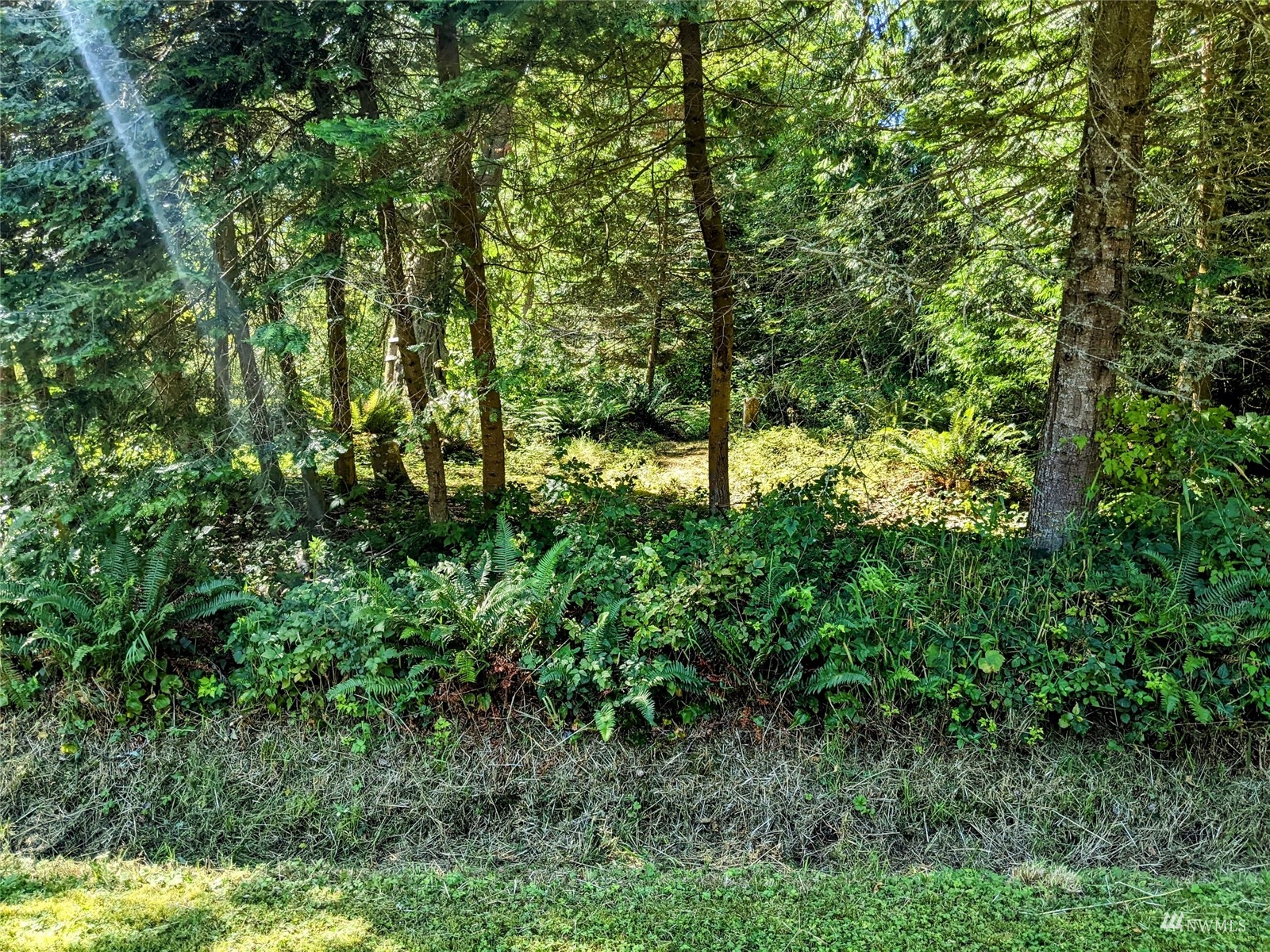 1375 Rex Street Point Roberts, WA 98281 - Photo 14 of 17 Gallery Image 14