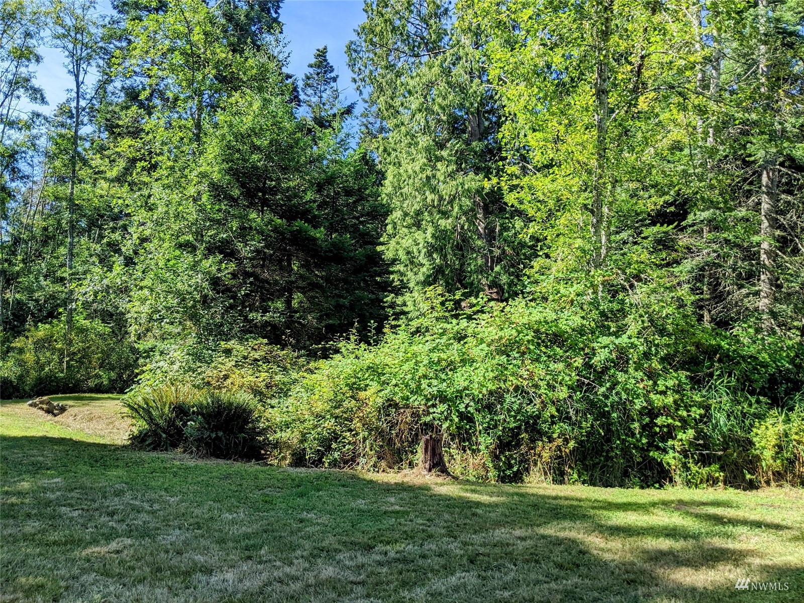 1375 Rex Street Point Roberts, WA 98281 - Photo 2 of 17 Gallery Image 2