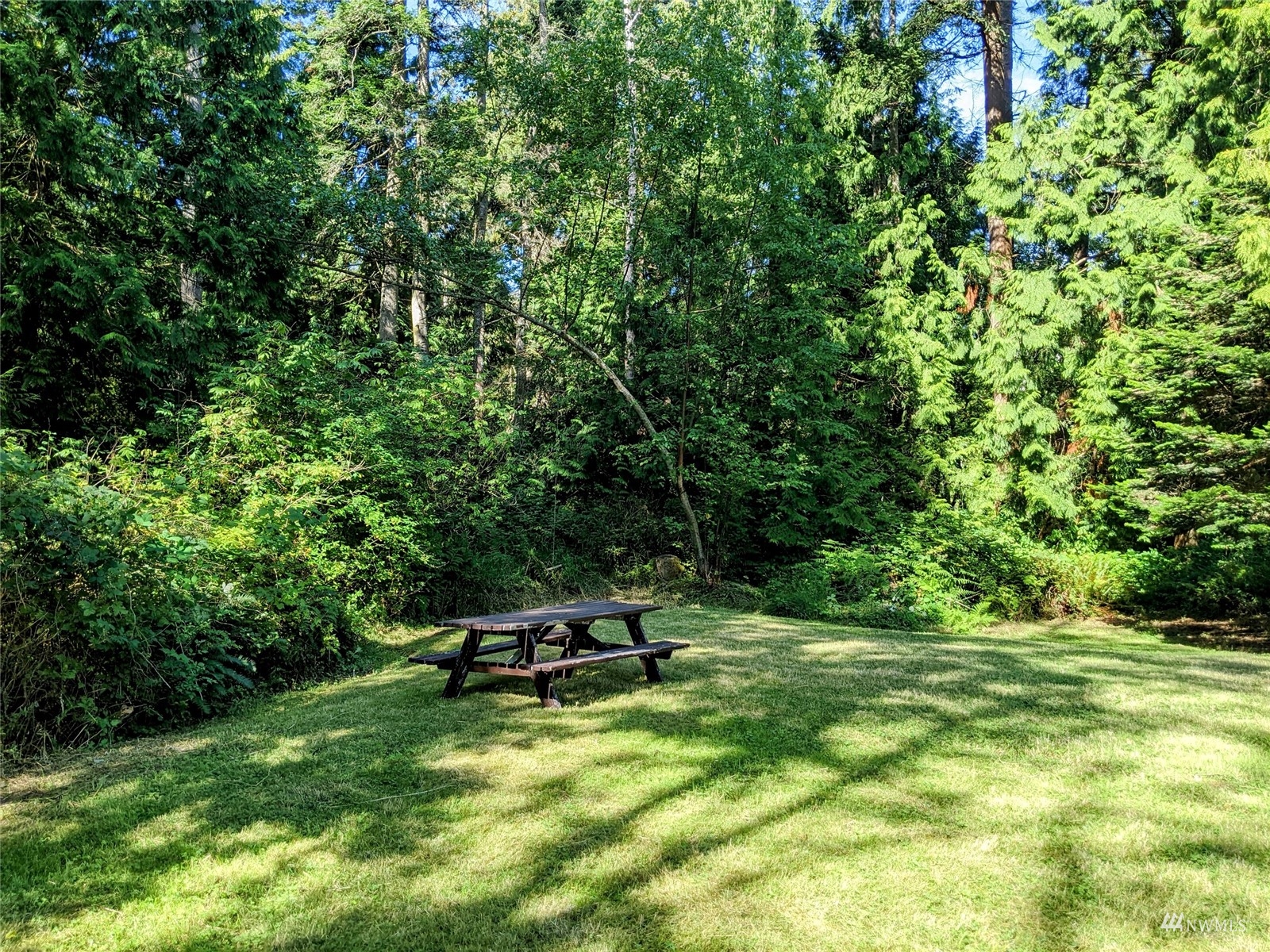 1375 Rex Street Point Roberts, WA 98281 - Photo 5 of 17 Gallery Image 5