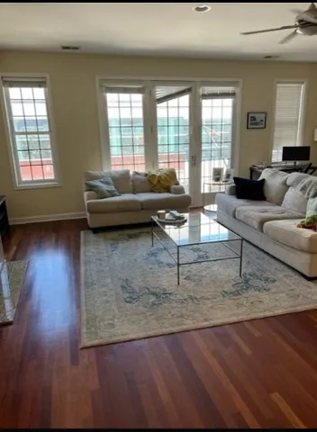 a living room with furniture and a potted plant