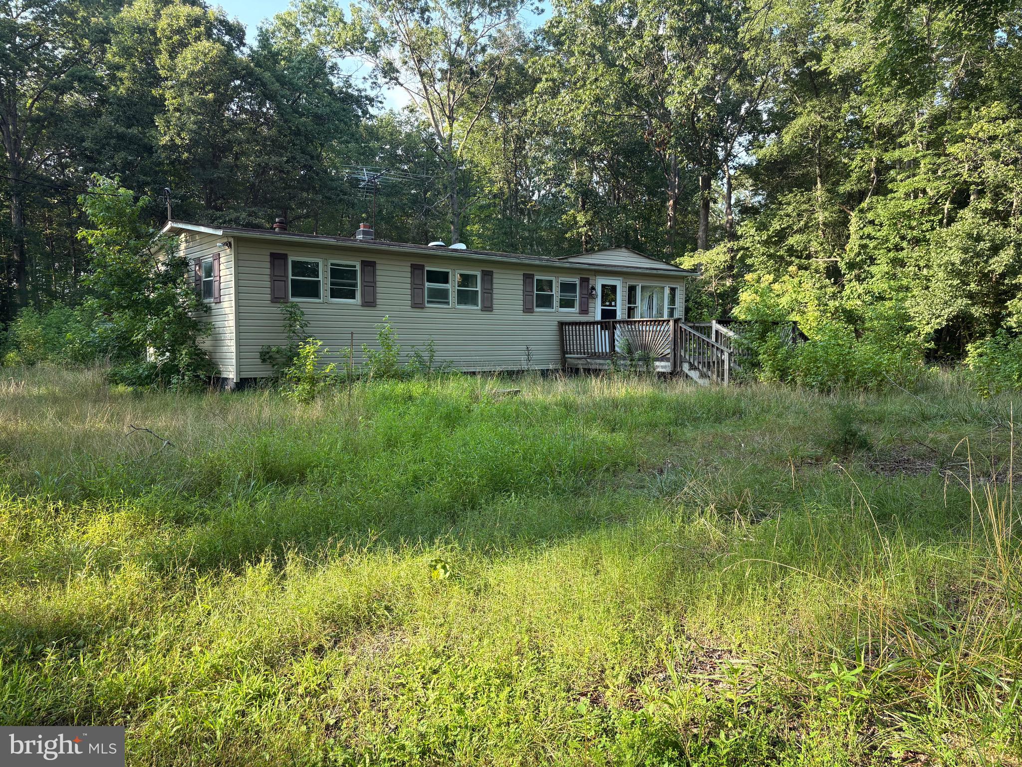 9310 Slidell La Plata, MD 20646 - Photo 2 of 2 a backyard of a house with plants and large trees