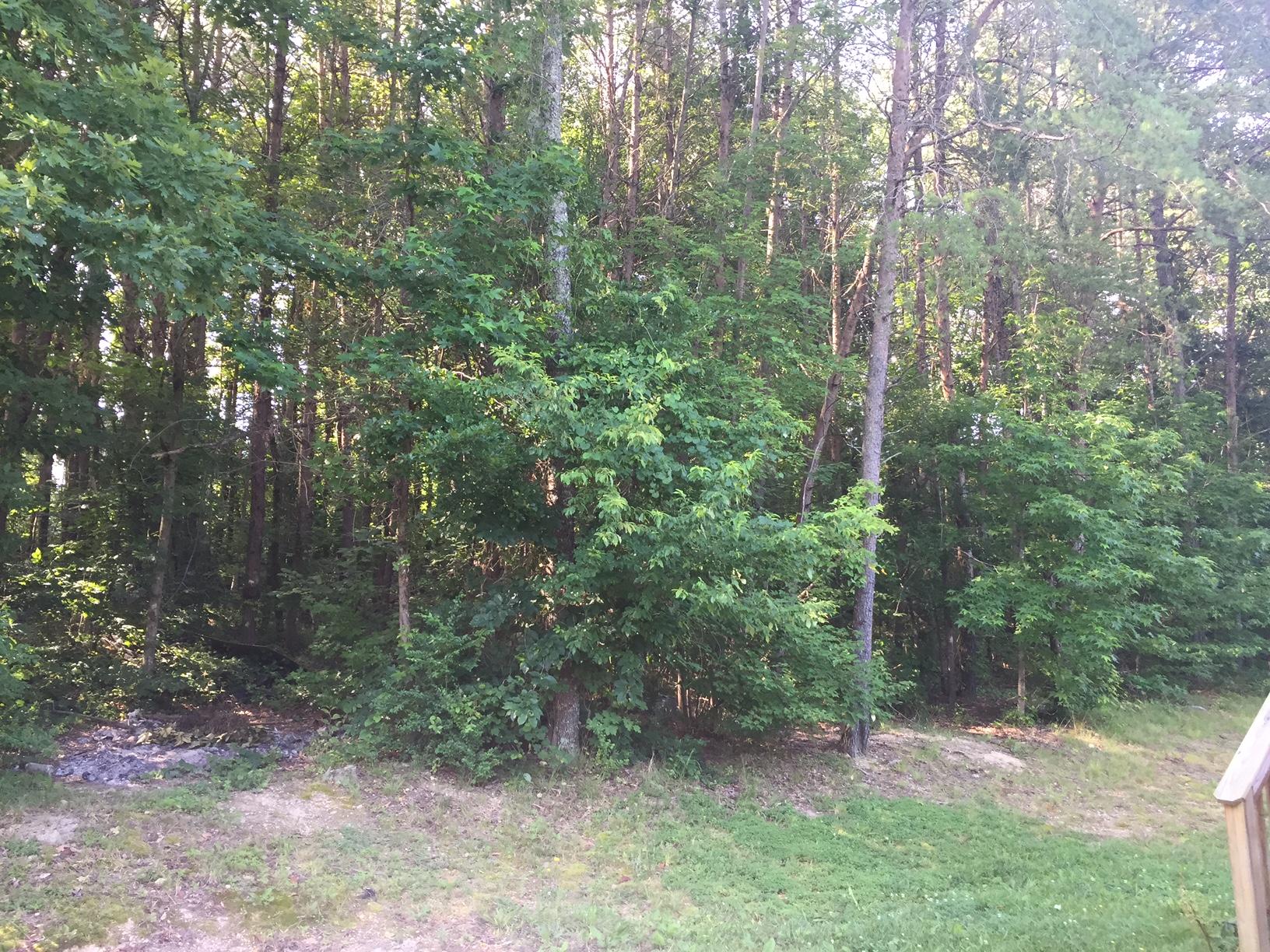 856 Lower Mill Road Hixson, TN 37343 - Photo 22 of 24 IMG_3861