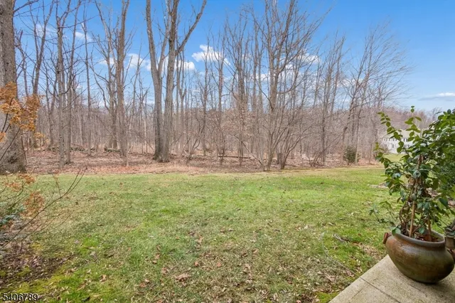 a view of outdoor space and yard