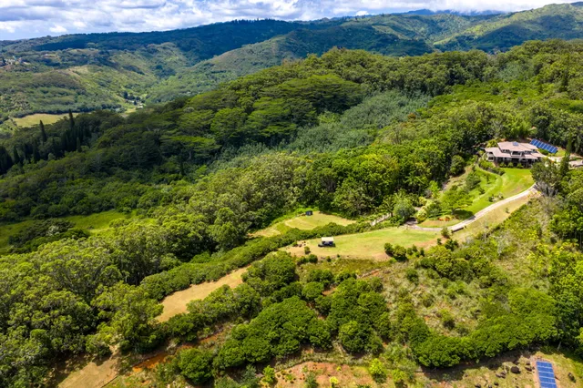 a view of a city with lush green forest