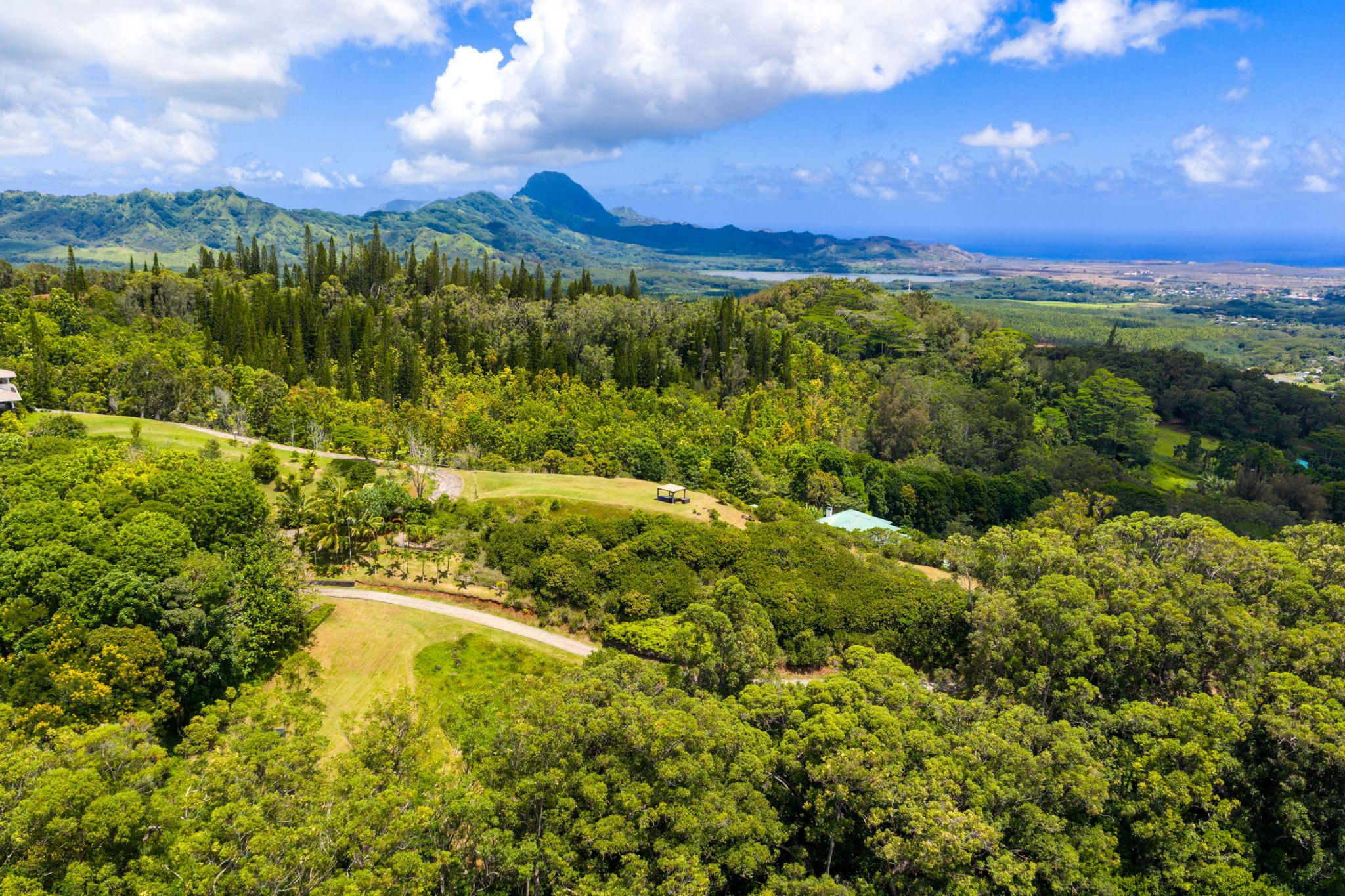 Uha Road, Unit 1 Kalaheo, HI 96741 - Photo 5 of 7 a view of a city with lush green forest