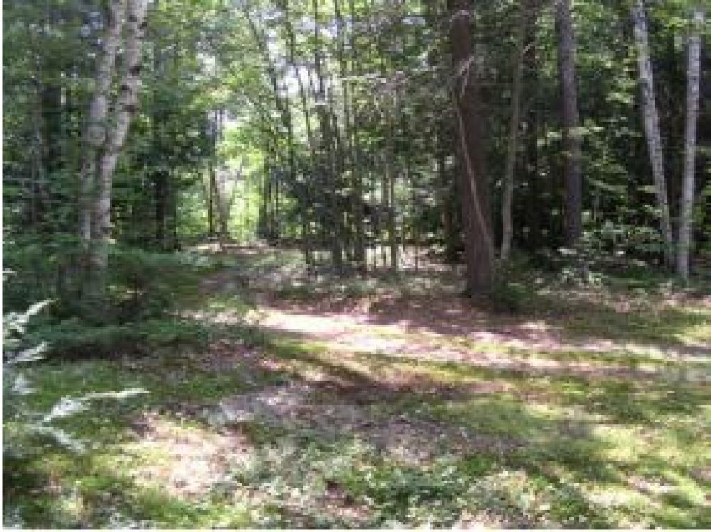 20 Hubbard Grove Road Shelburne, NH 03581 - Photo 6 of 24 Gallery Image 6