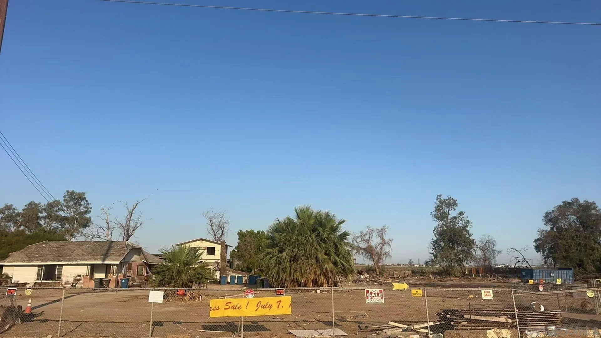 a view of a town with big tree and plants