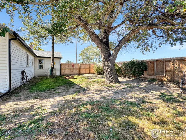 a view of a yard with a tree