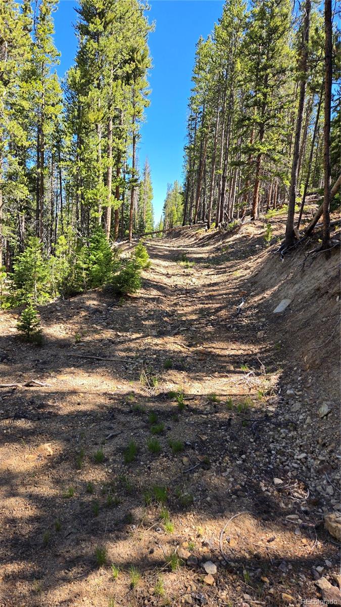 0 Summit Gulch Road Breckenridge, CO 80424 - Photo 3 of 31