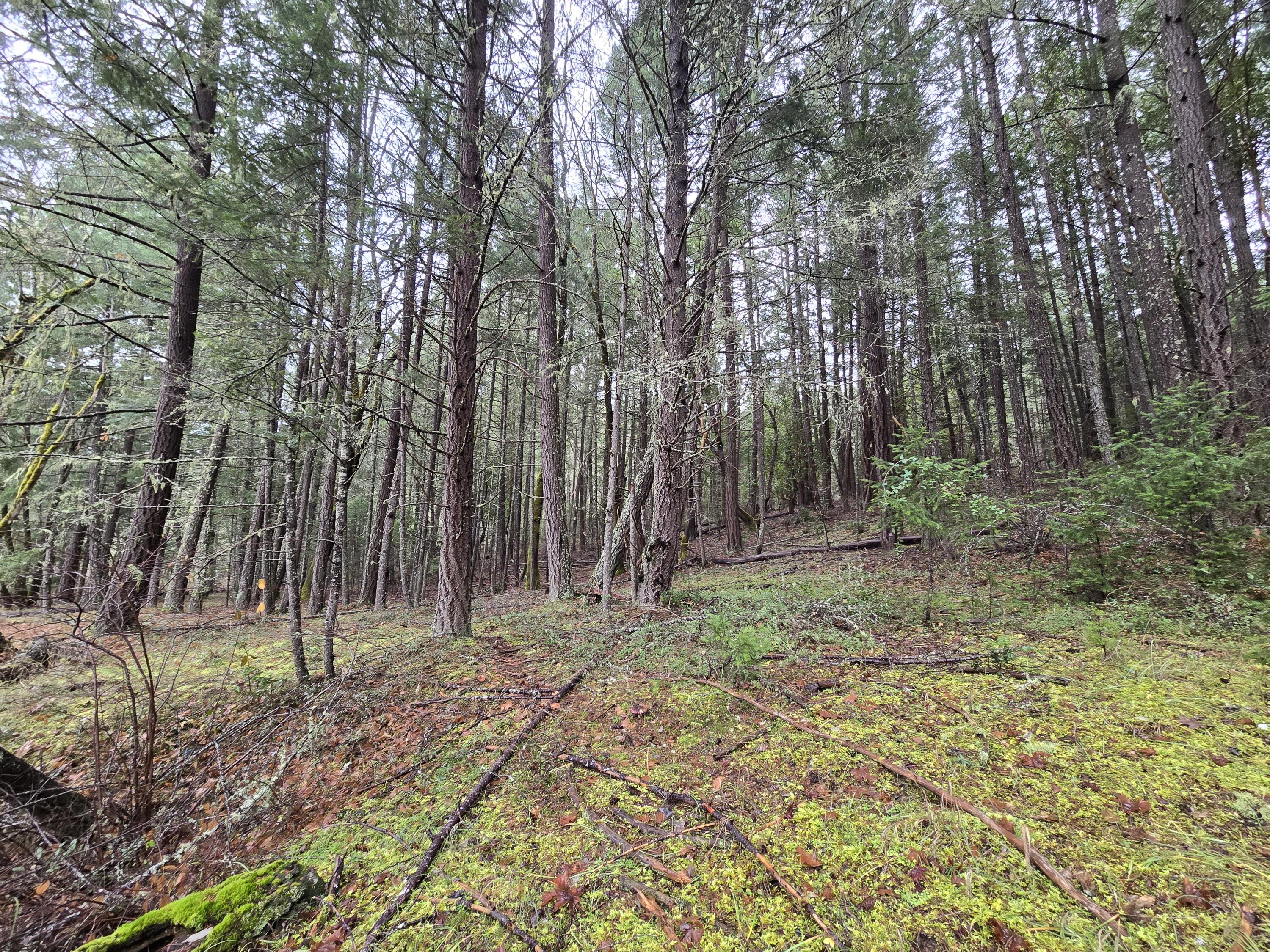 5000 Thompson Creek Road Jacksonville, OR 97530 - Photo 29 of 71 8