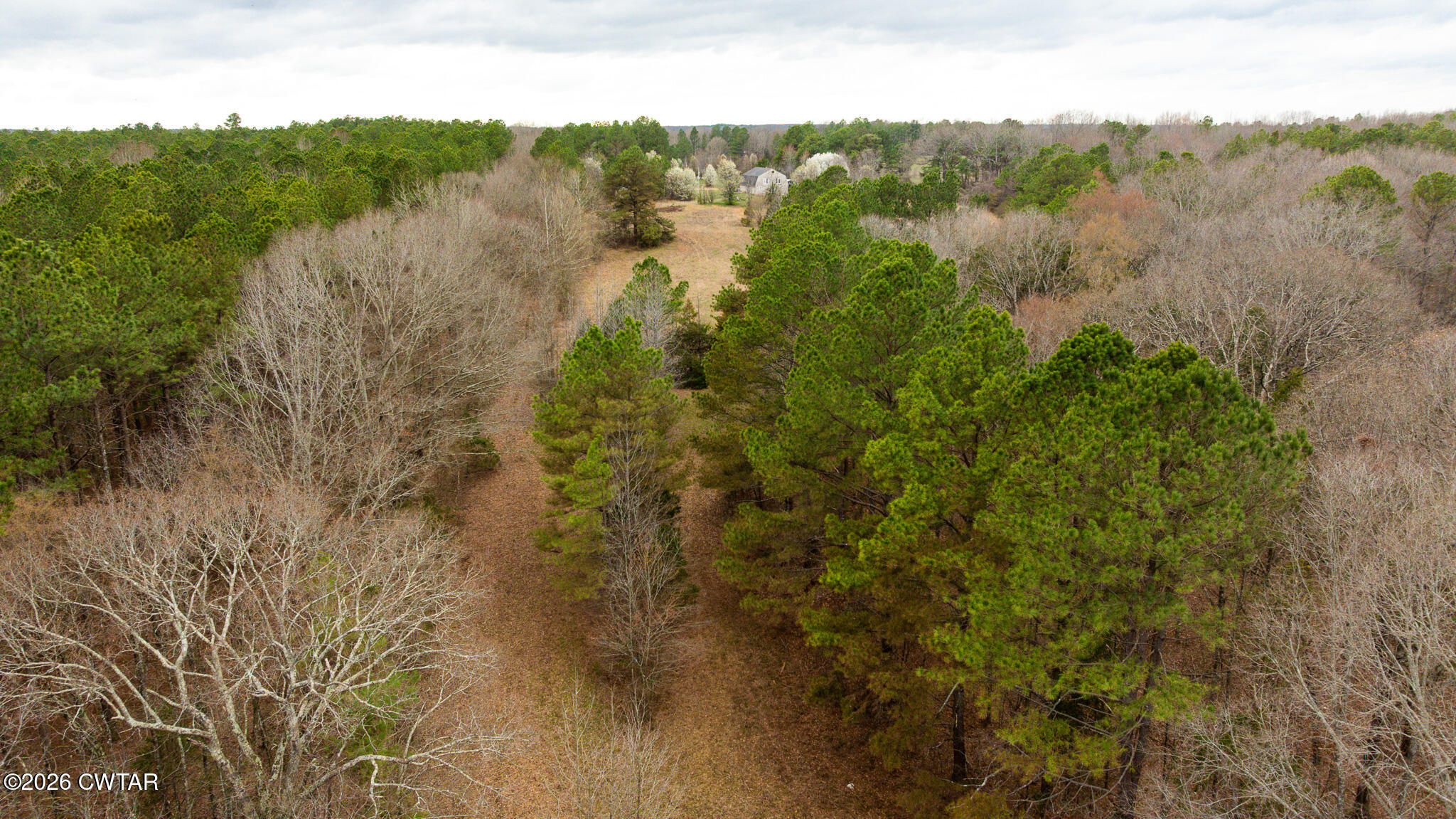 840 School Road Palmersville, TN 38241 - Photo 18 of 27 a view of a forest with a lake