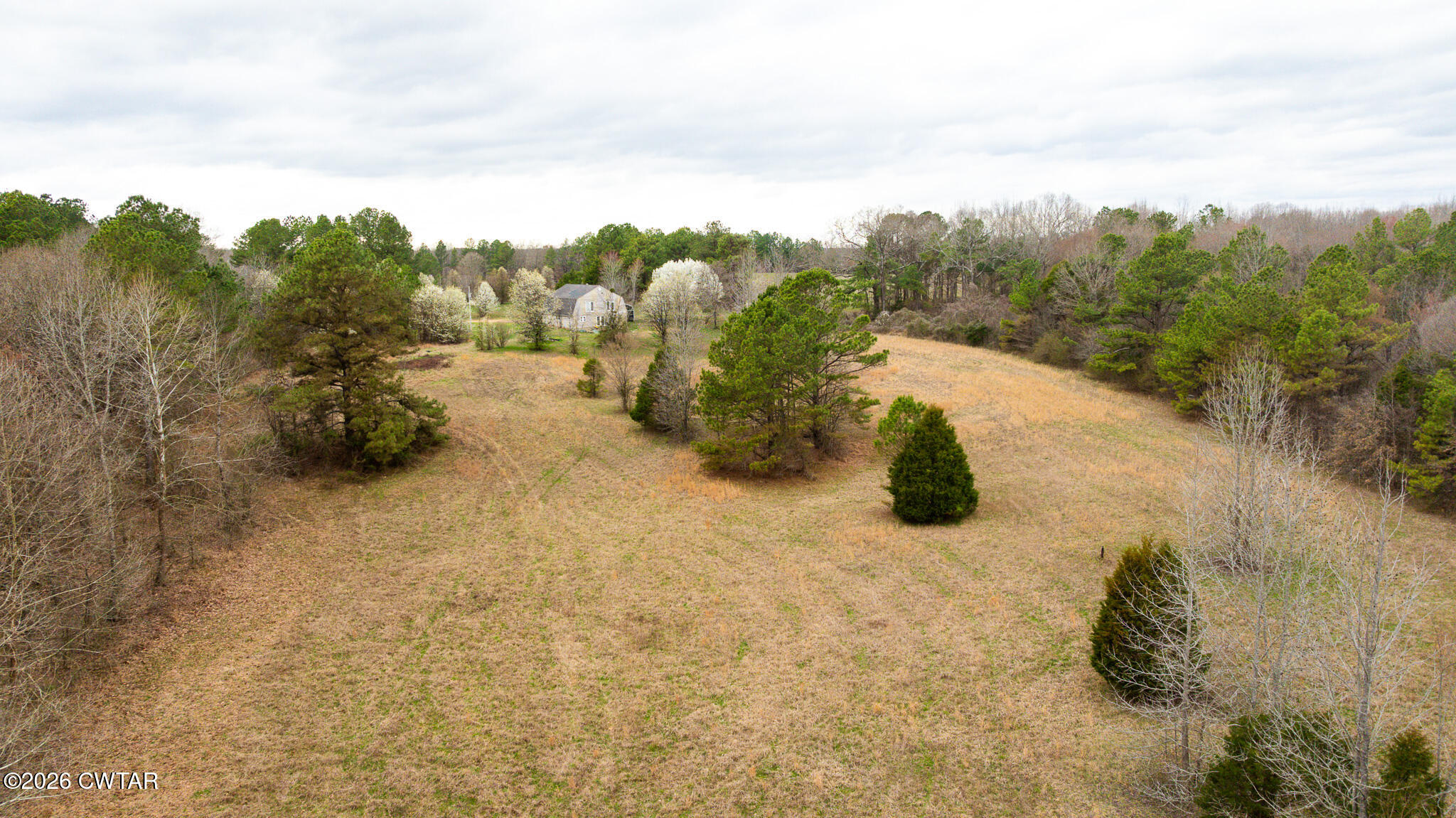 840 School Road Palmersville, TN 38241 - Photo 19 of 27 a view of a yard