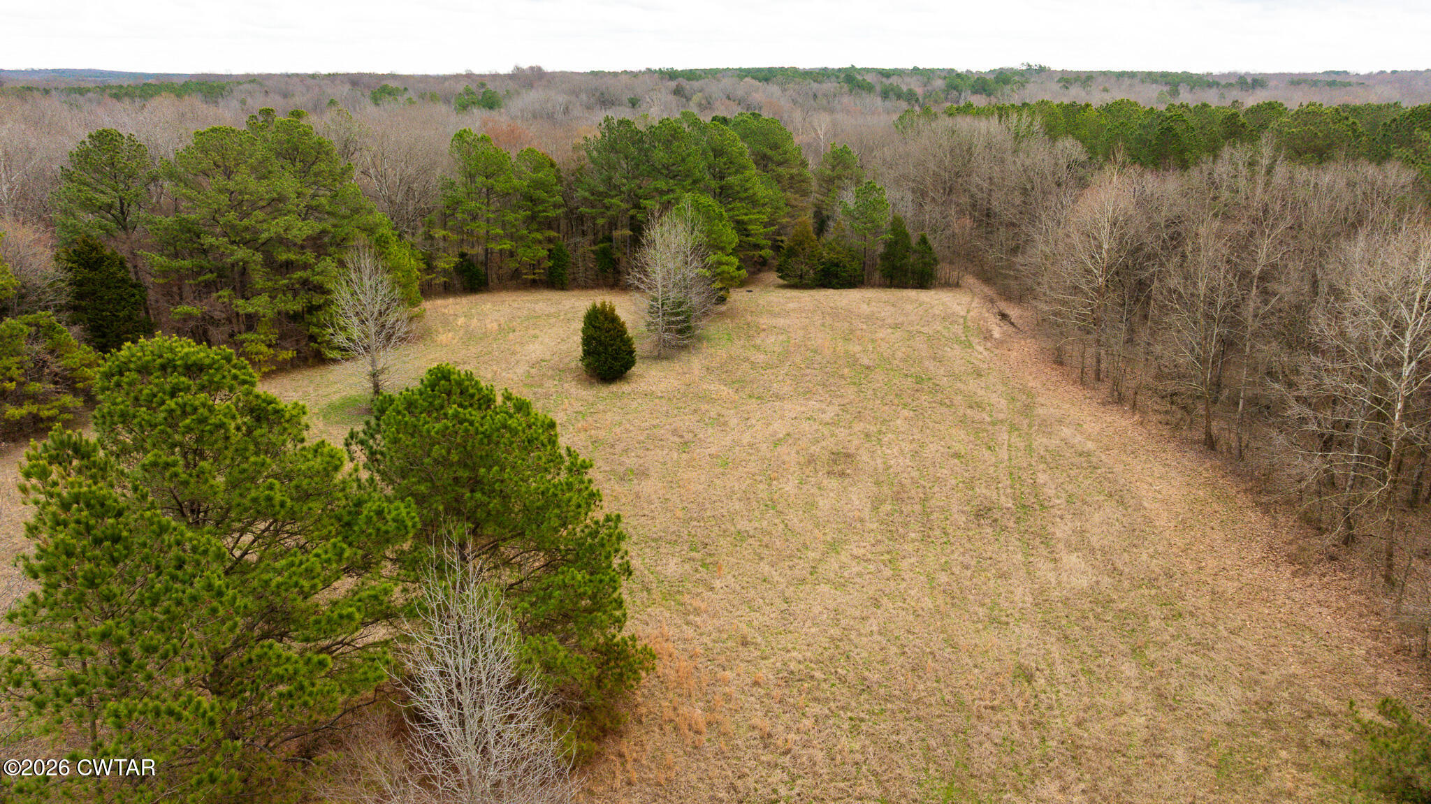 840 School Road Palmersville, TN 38241 - Photo 21 of 27 a view of lake with mountain
